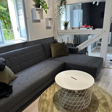 A Labri Du Vent Apartman Sainte-Marie-aux-Mines Kültér fotó